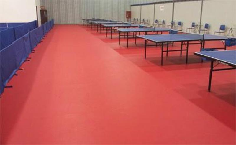 Table Tennis Ping Pong Badminton Net Ball Court Surrounds